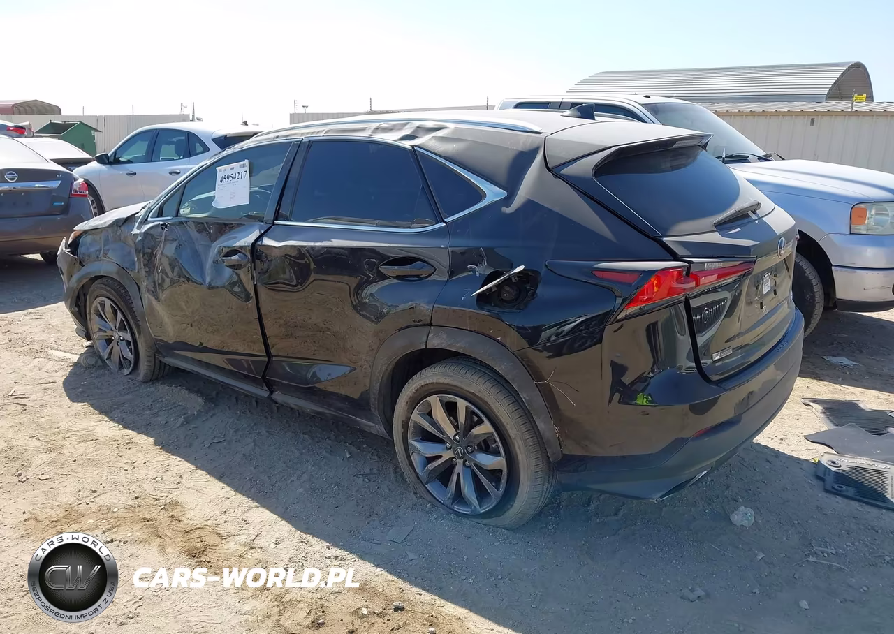 2019 Lexus Nx 300 F Sport VIN:JTJYARBZ0K2139808 - 3