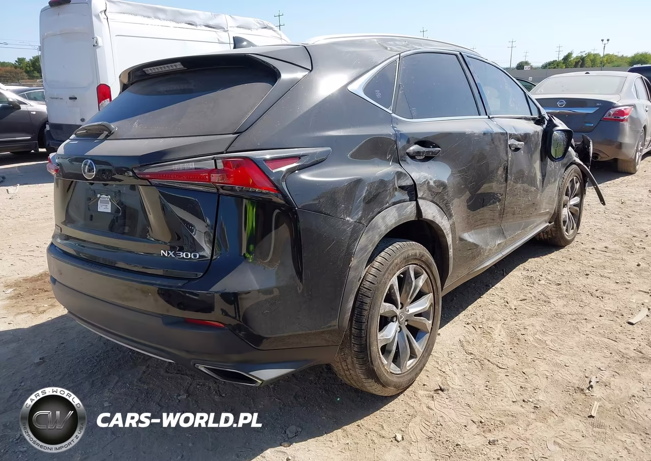 2019 Lexus Nx 300 F Sport VIN:JTJYARBZ0K2139808 - 4