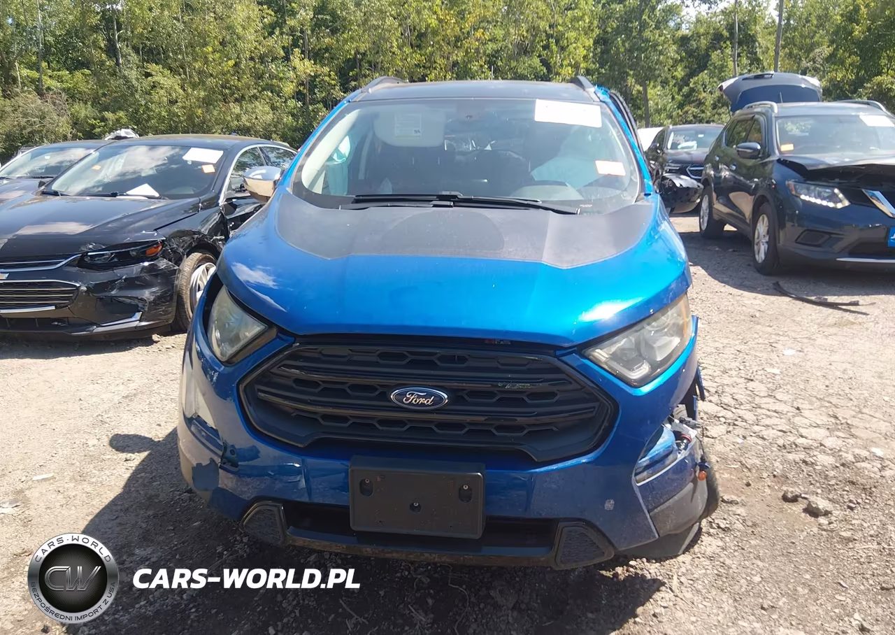 2019 Ford Ecosport Ses VIN:MAJ6S3JL1KC251647 - 12