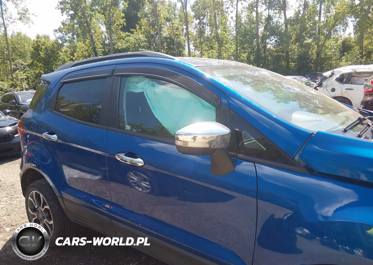 2019 Ford Ecosport Ses VIN:MAJ6S3JL1KC251647 - 13