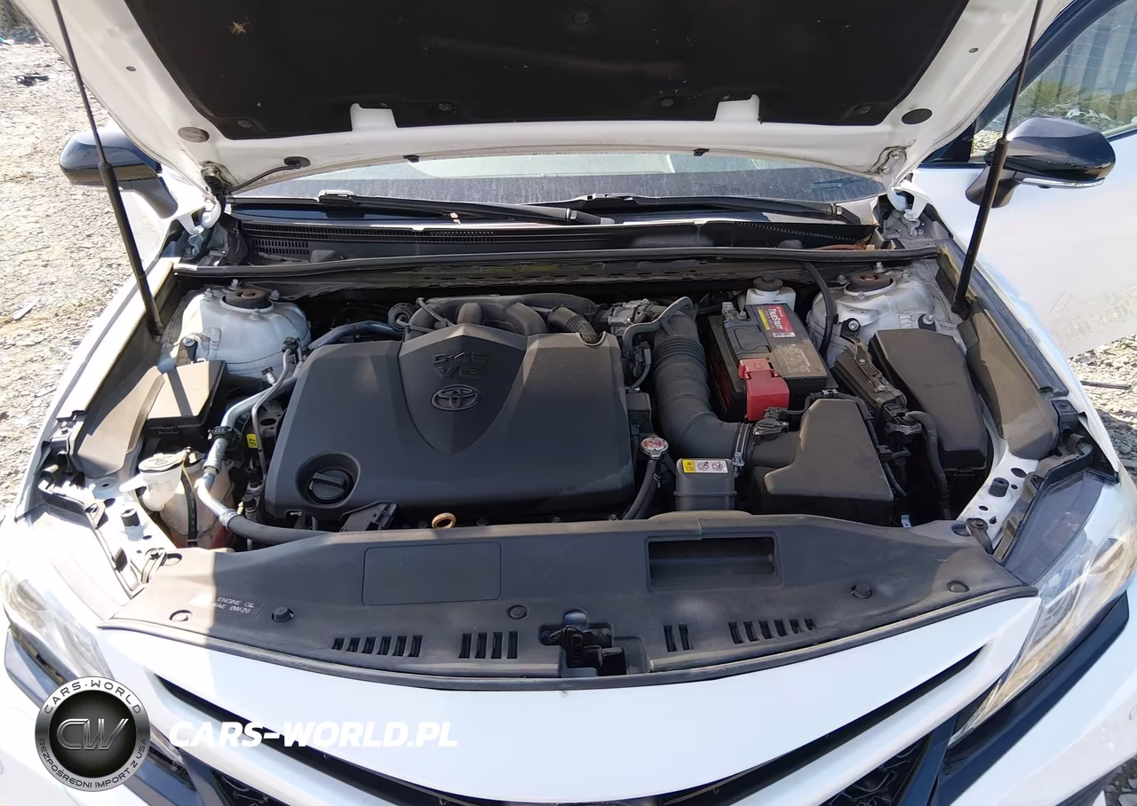 2019 Toyota Camry Xse V6 VIN:4T1BZ1HK1KU031257 - 10