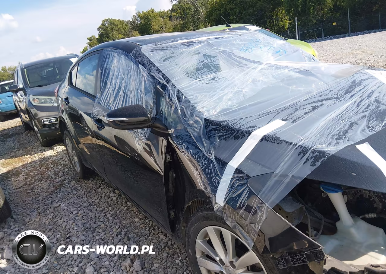 2014 Kia Forte Lx VIN:KNAFX4A60E5166123 - 14