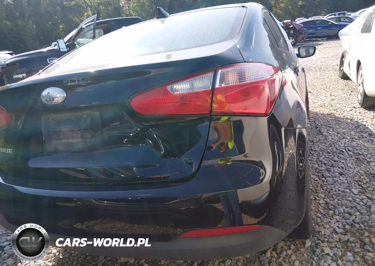 2014 Kia Forte Lx VIN:KNAFX4A60E5166123 - 17