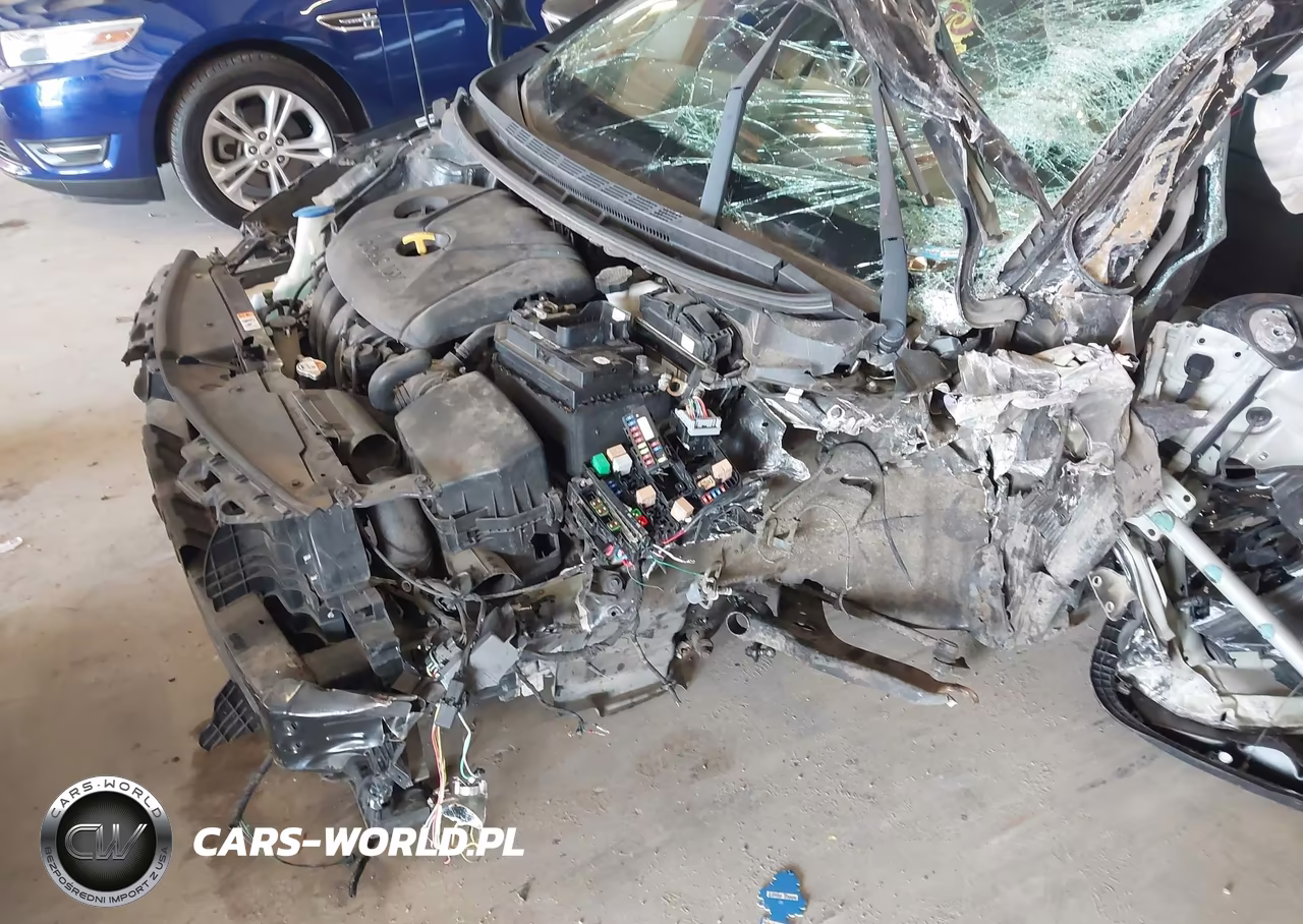 2014 Kia Forte Lx VIN:KNAFX4A60E5166123 - 19