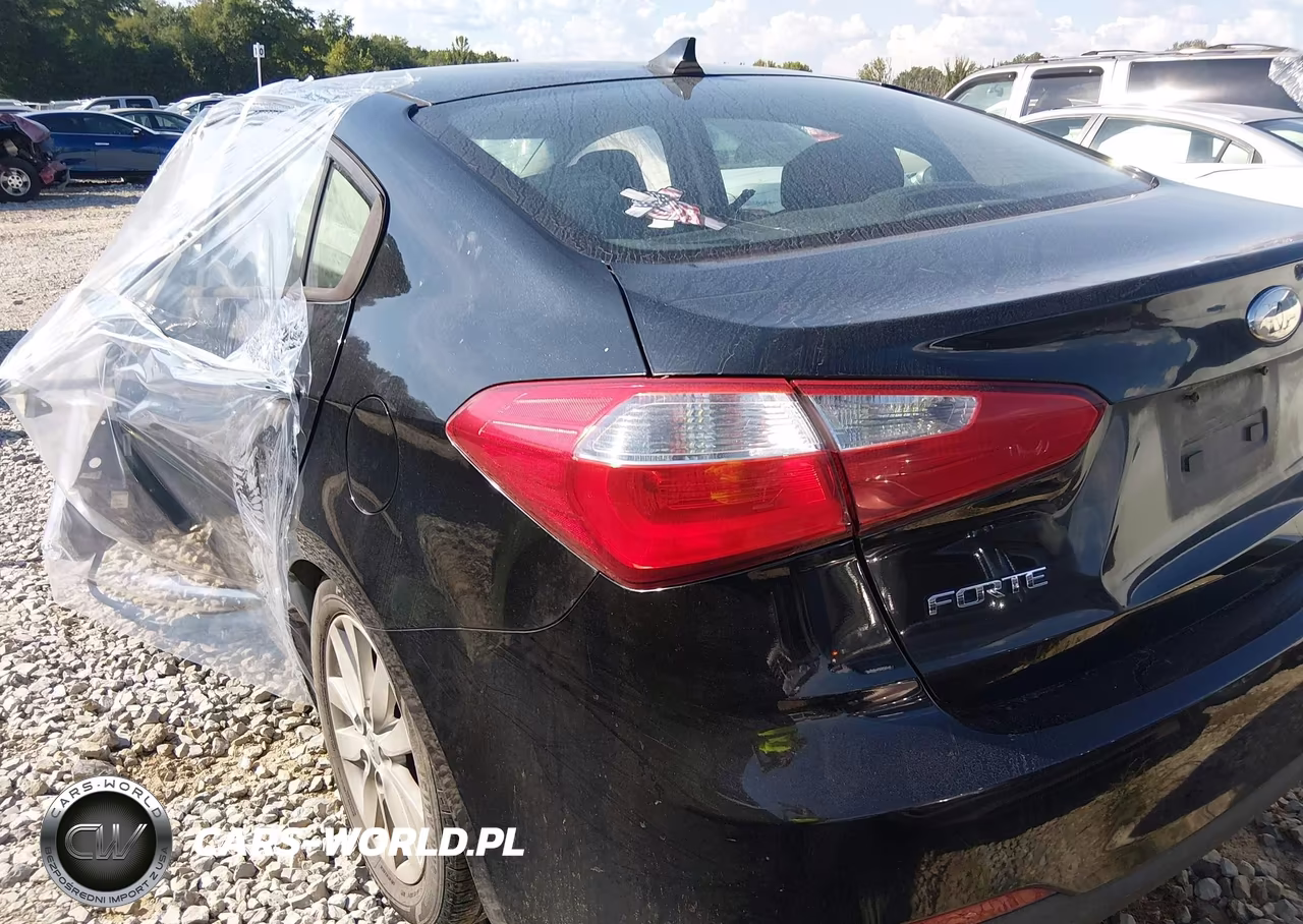 2014 Kia Forte Lx VIN:KNAFX4A60E5166123 - 3