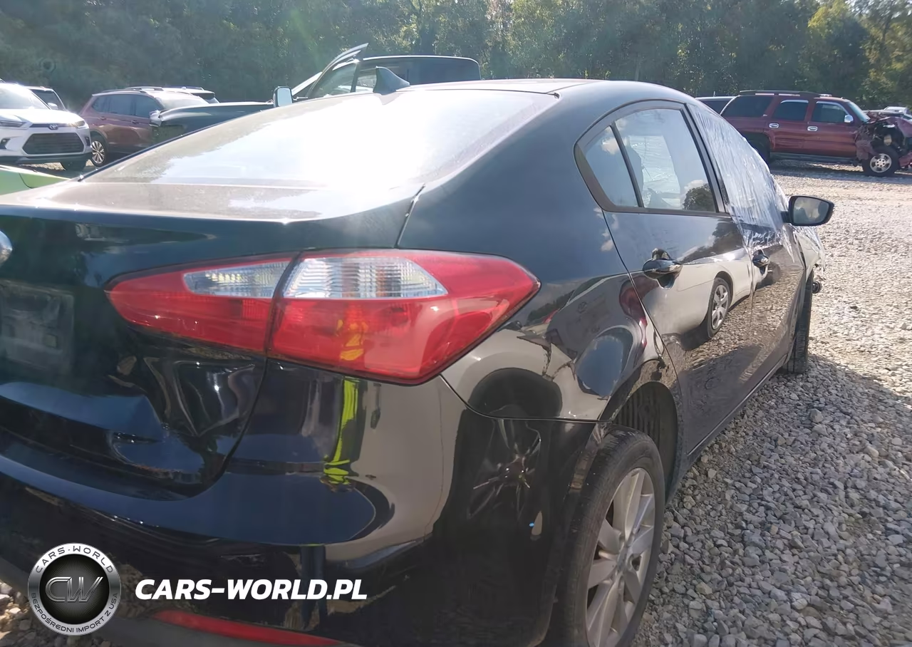 2014 Kia Forte Lx VIN:KNAFX4A60E5166123 - 4