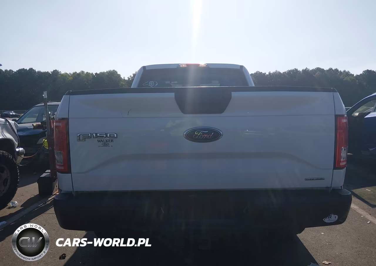 2015 Ford F-150 Xl VIN:1FTEX1E84FFC86575 - 16