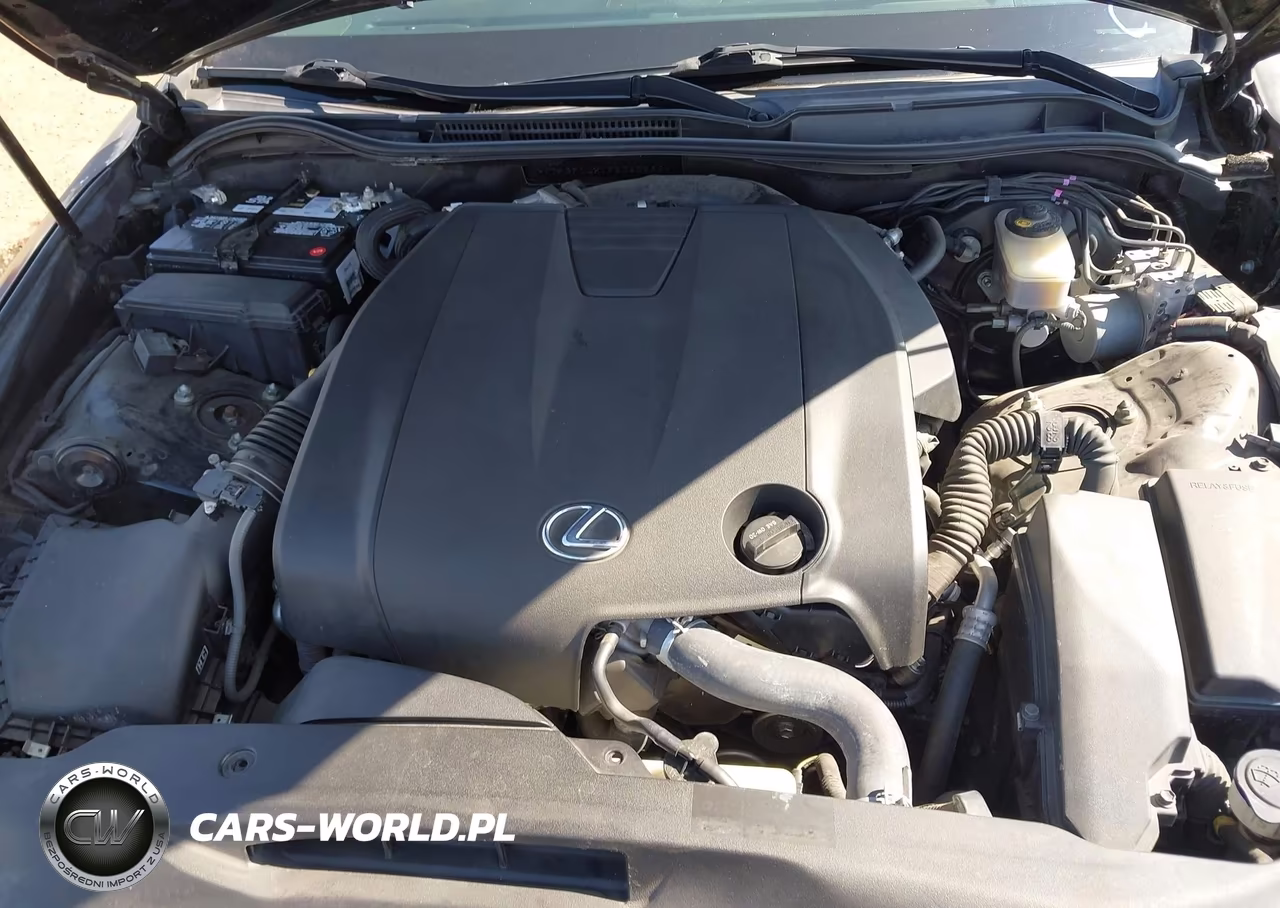 2015 Lexus Is 250 VIN:JTHBF1D21F5063966 - 10