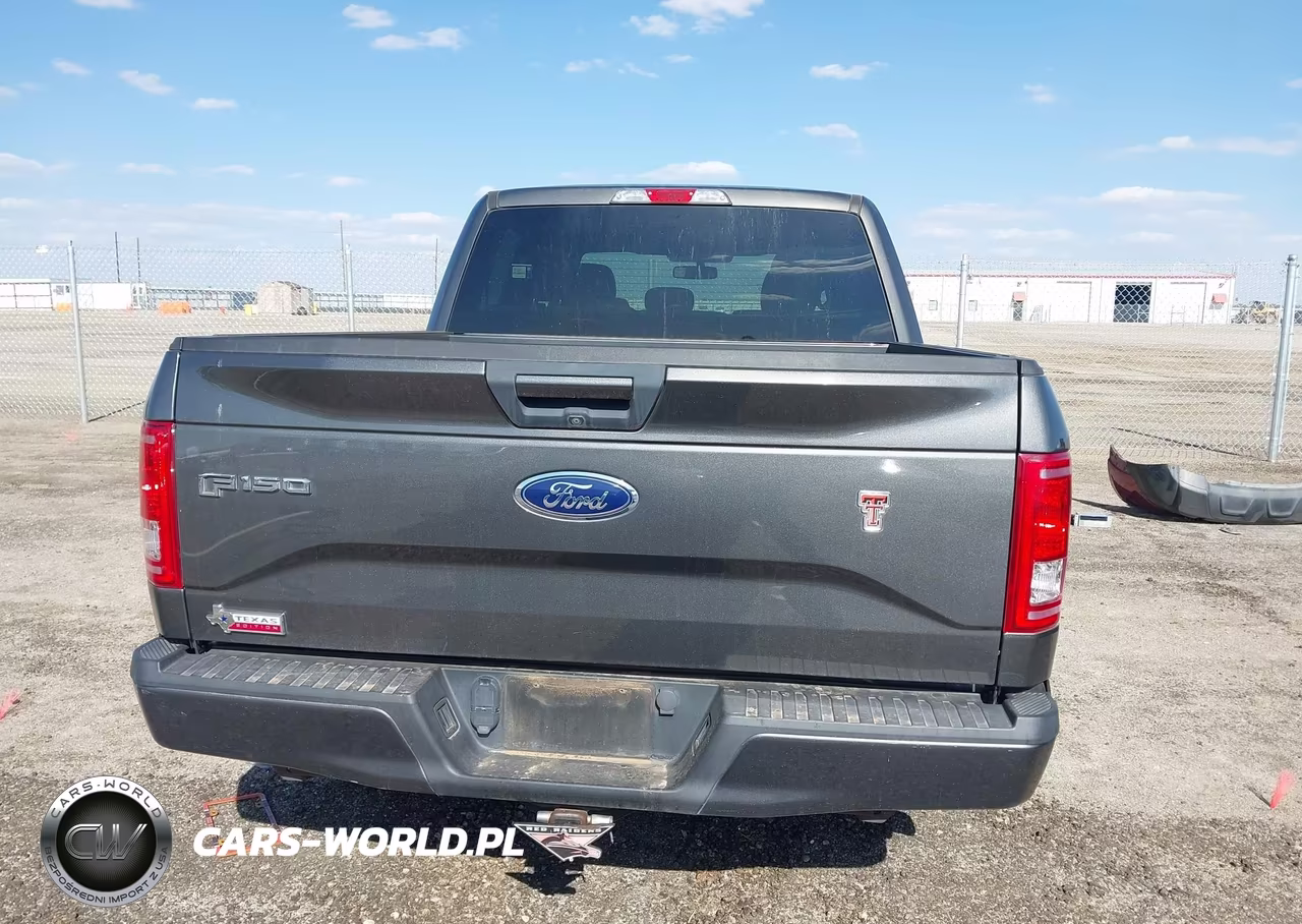 2016 Ford F-150 Xlt VIN:1FTEW1CP3GKE93156 - 16