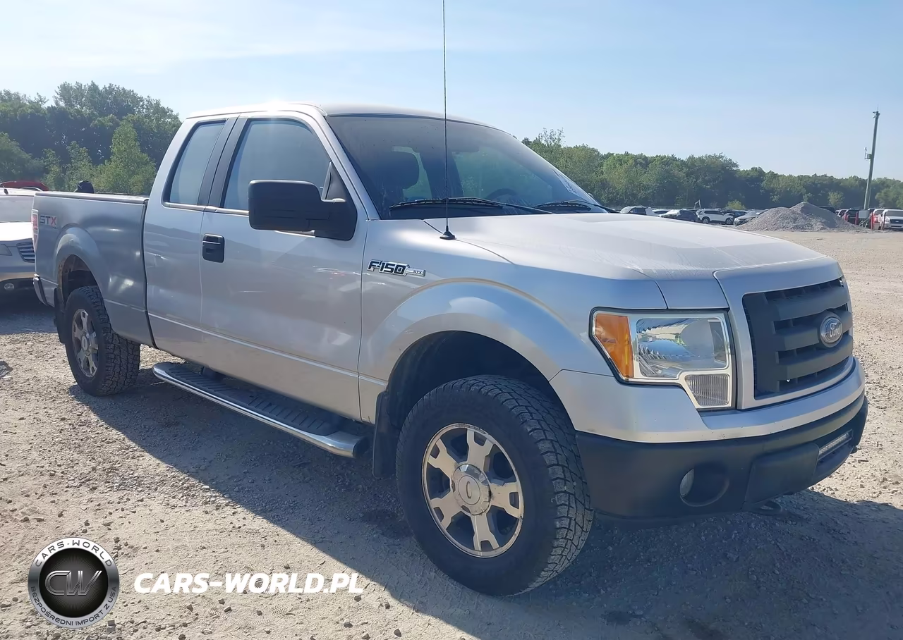 2010 Ford F-150 Stx-Xl