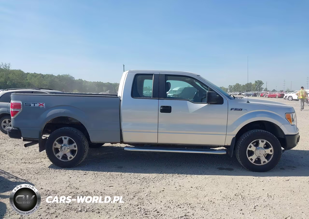 2010 Ford F-150 Stx-Xl VIN:1FTEX1EW9AFC83176 - 13