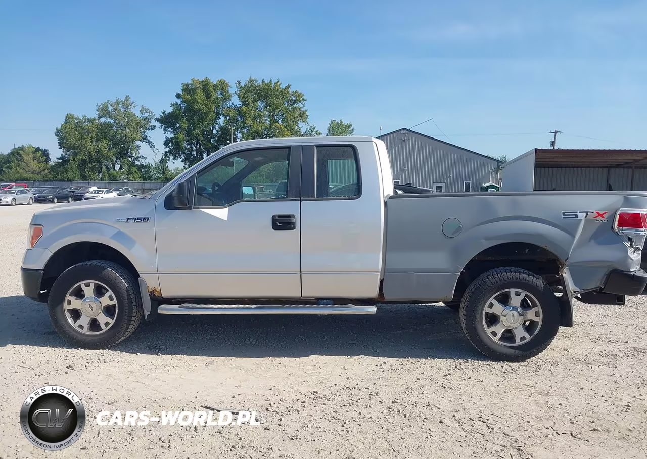 2010 Ford F-150 Stx-Xl VIN:1FTEX1EW9AFC83176 - 14