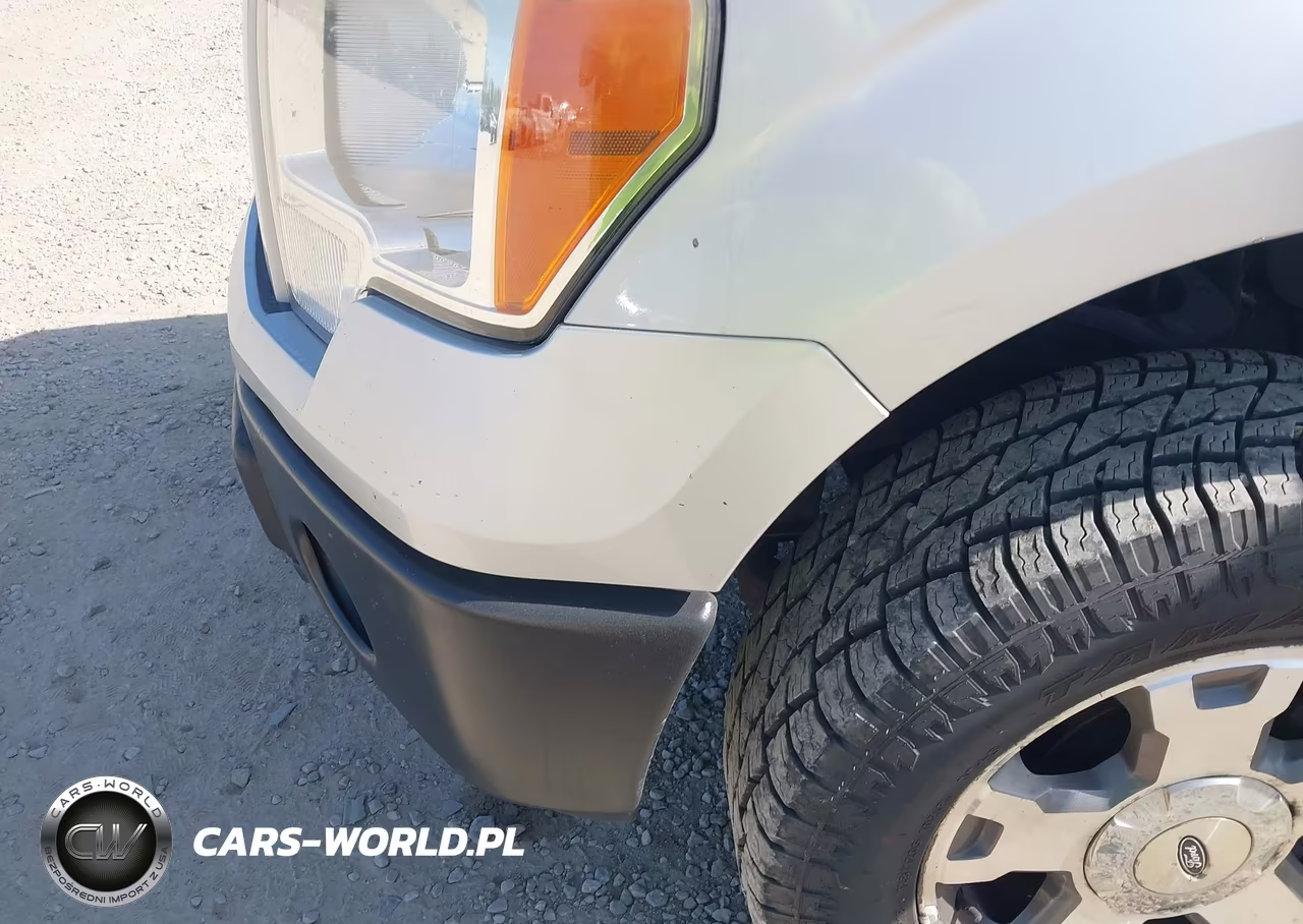 2010 Ford F-150 Stx-Xl VIN:1FTEX1EW9AFC83176 - 19