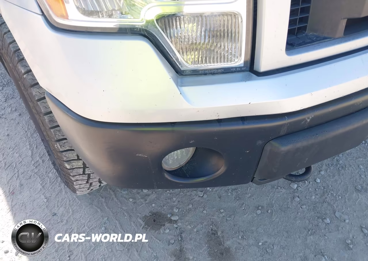 2010 Ford F-150 Stx-Xl VIN:1FTEX1EW9AFC83176 - 20