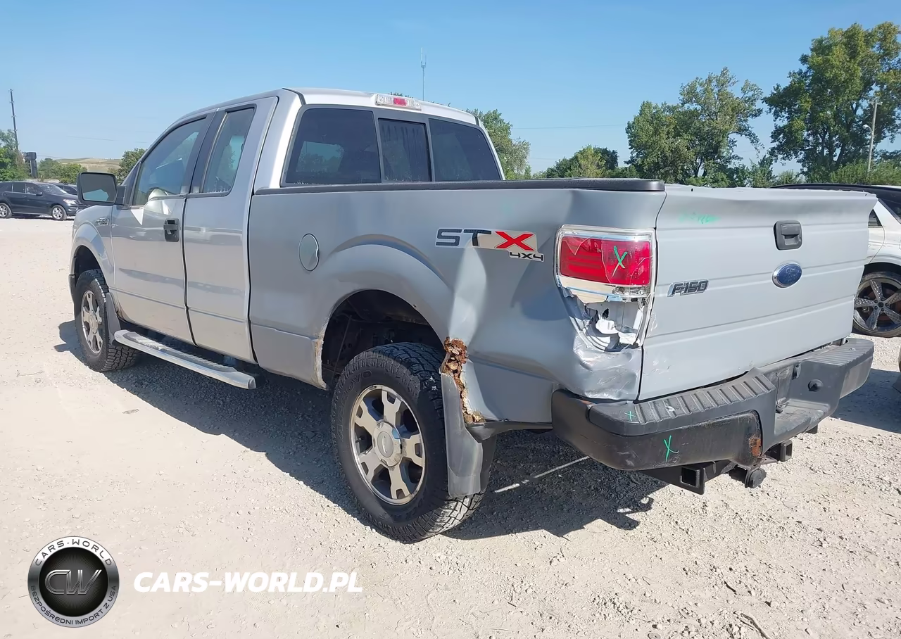 2010 Ford F-150 Stx-Xl VIN:1FTEX1EW9AFC83176 - 3