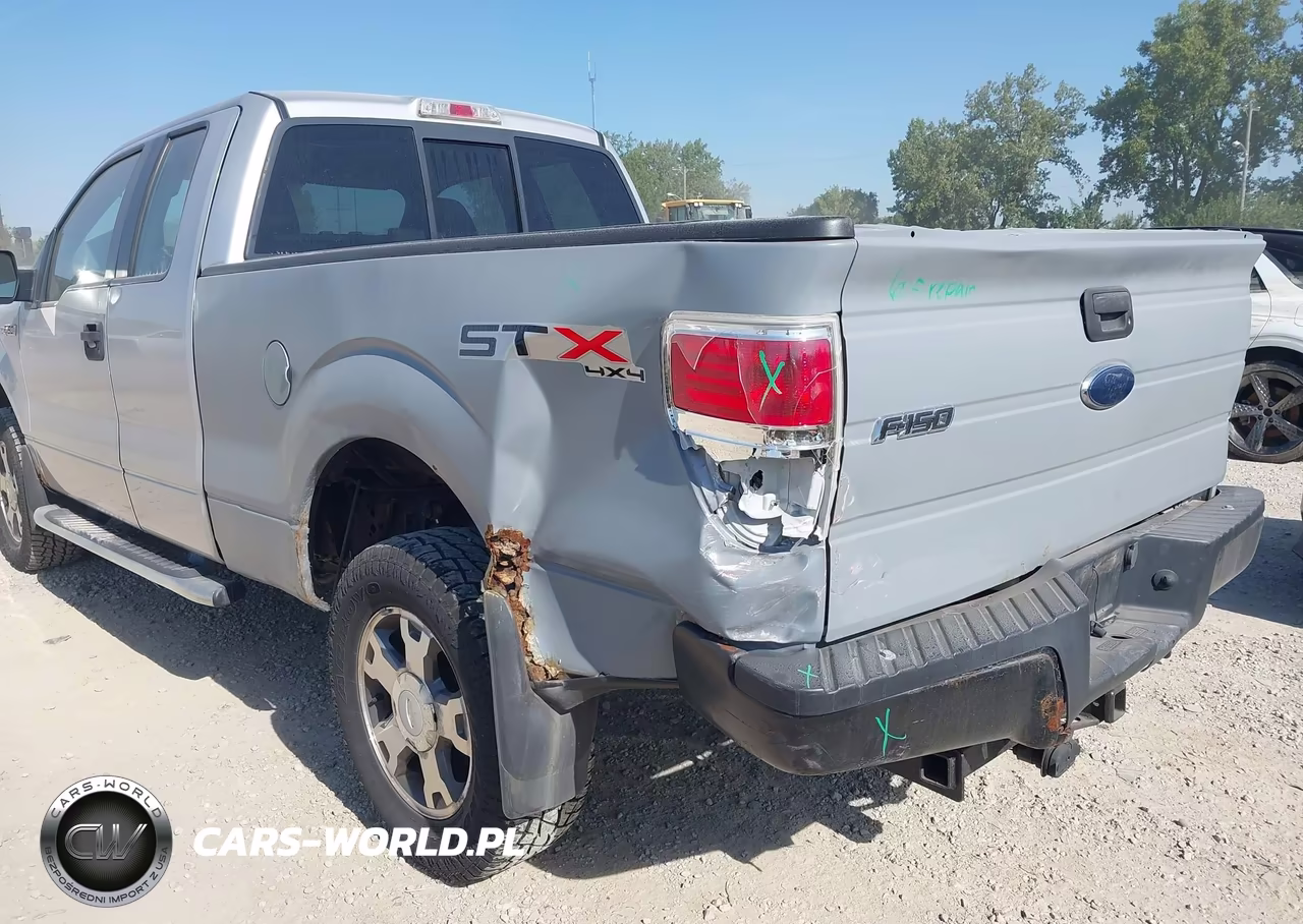 2010 Ford F-150 Stx-Xl VIN:1FTEX1EW9AFC83176 - 6