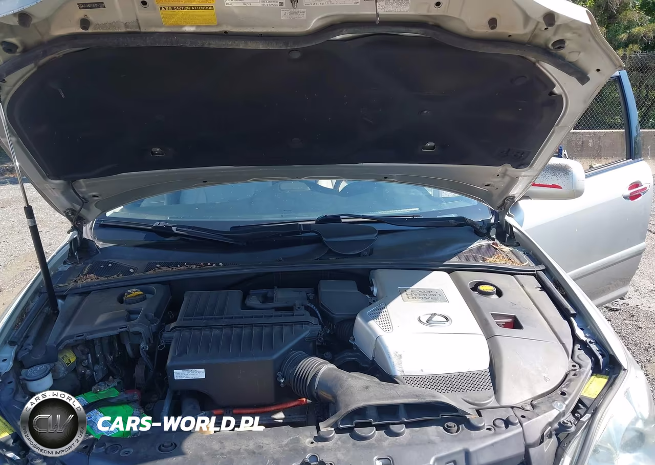 2007 Lexus Rx 400H VIN:JTJHW31U572022768 - 10