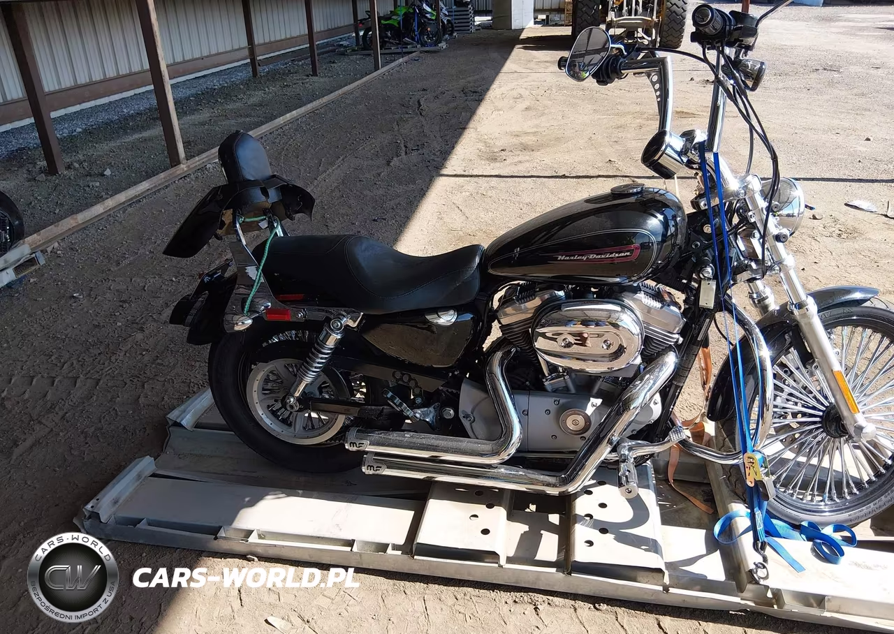 2009 Harley-Davidson Xl883 C VIN:1HD4CP2169K462005 - 13