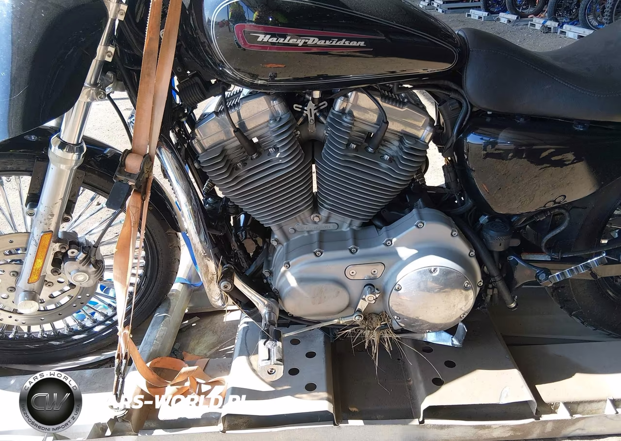 2009 Harley-Davidson Xl883 C VIN:1HD4CP2169K462005 - 15
