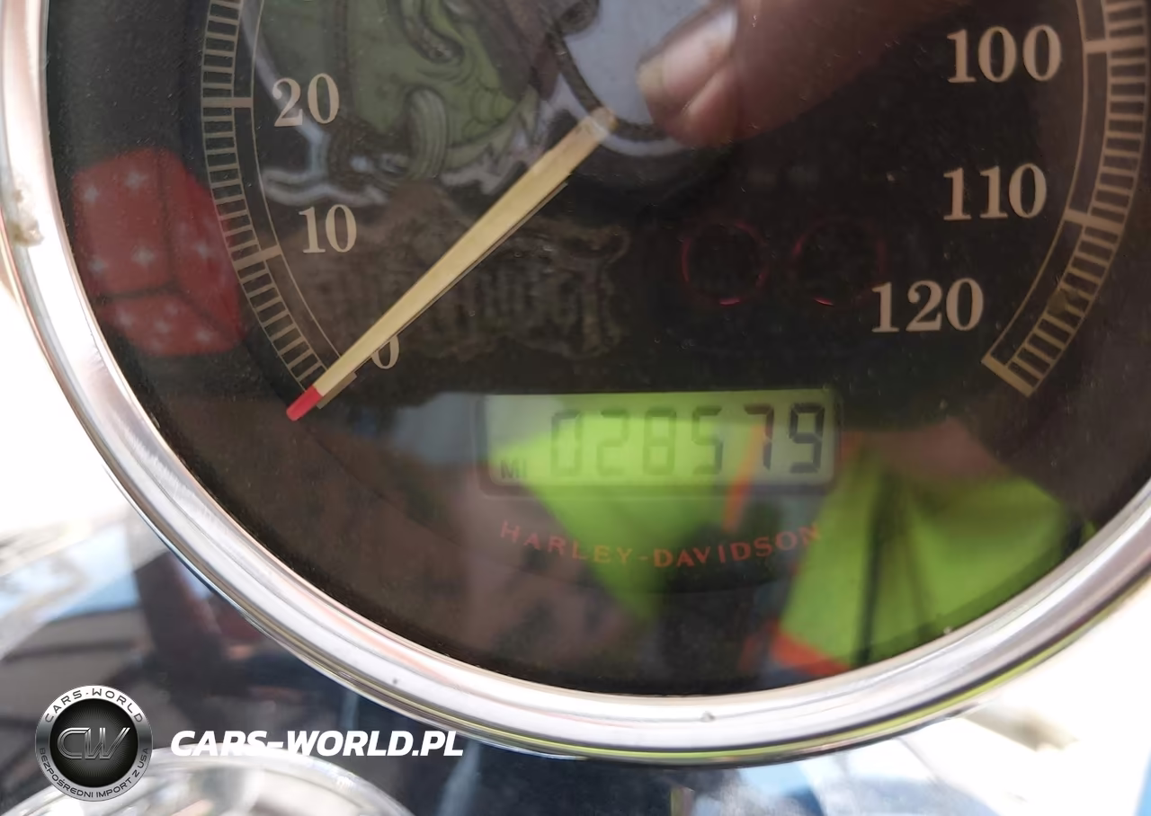 2009 Harley-Davidson Xl883 C VIN:1HD4CP2169K462005 - 7