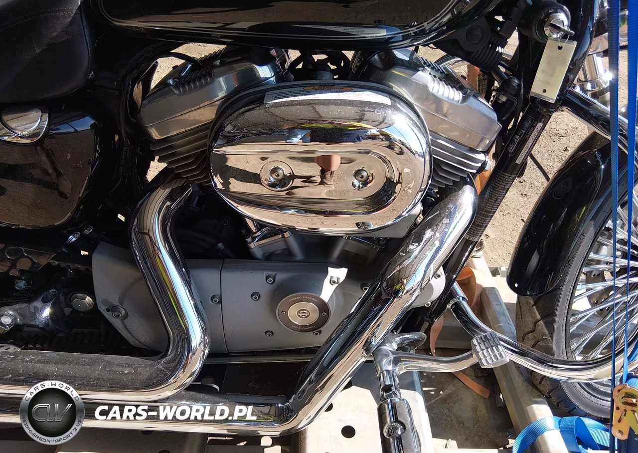 2009 Harley-Davidson Xl883 C VIN:1HD4CP2169K462005 - 8