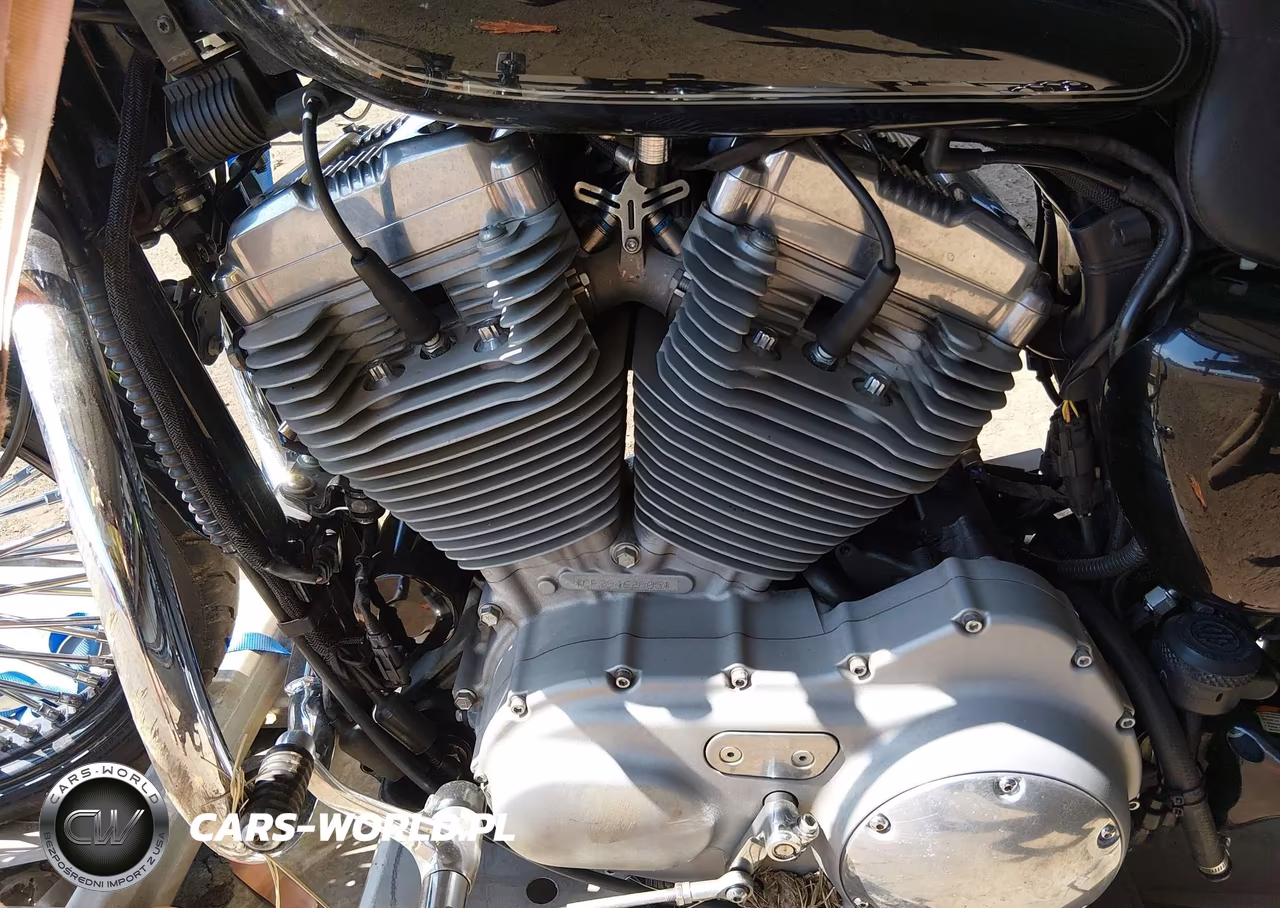 2009 Harley-Davidson Xl883 C VIN:1HD4CP2169K462005 - 9