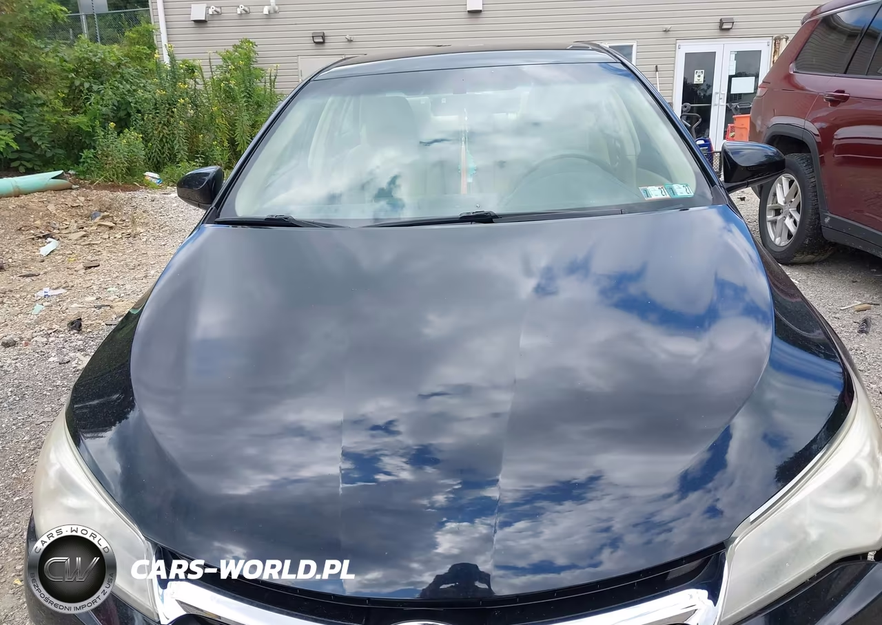 2016 Toyota Camry Le VIN:4T1BF1FK0GU257163 - 10