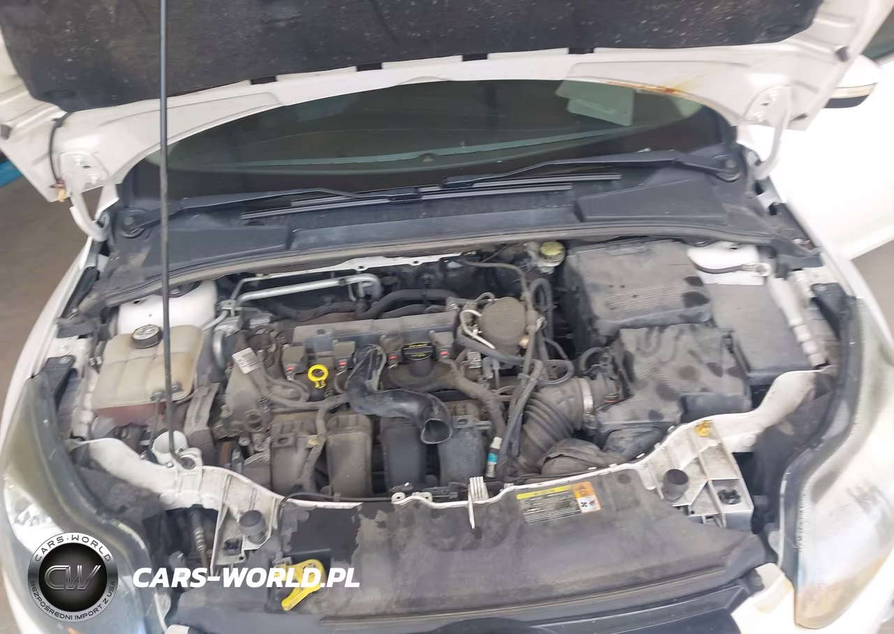2013 Ford Focus Titanium VIN:1FADP3N20DL184164 - 10