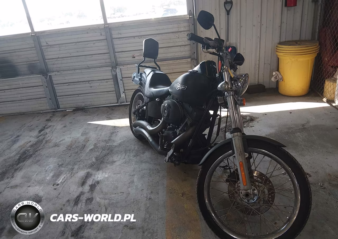 2009 Harley-Davidson Fxstb