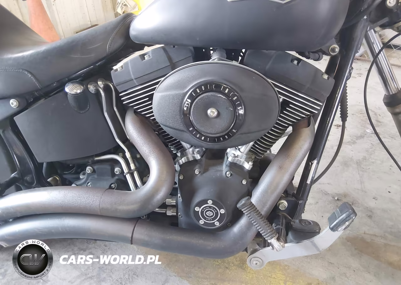 2009 Harley-Davidson Fxstb VIN:1HD1JA5109Y019802 - 8