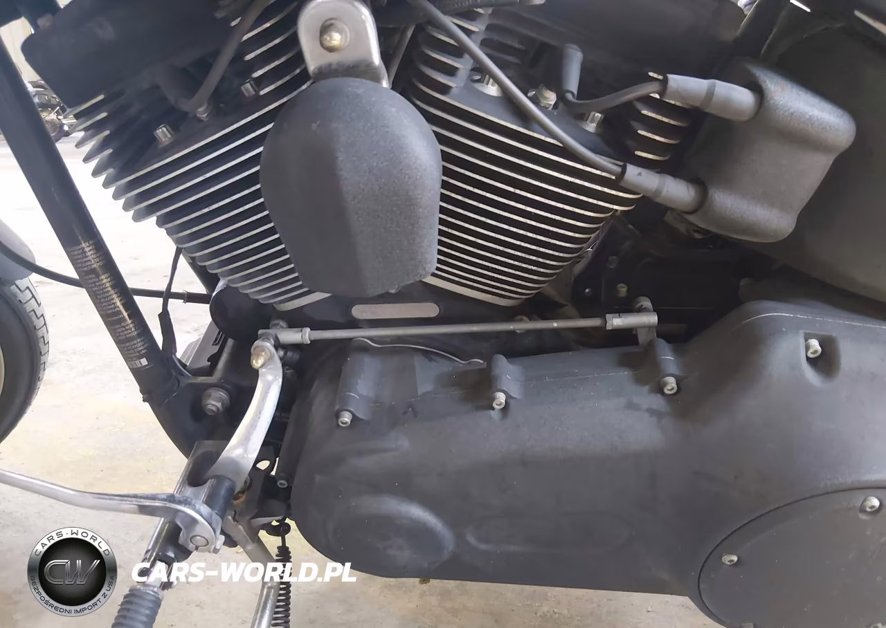 2009 Harley-Davidson Fxstb VIN:1HD1JA5109Y019802 - 9
