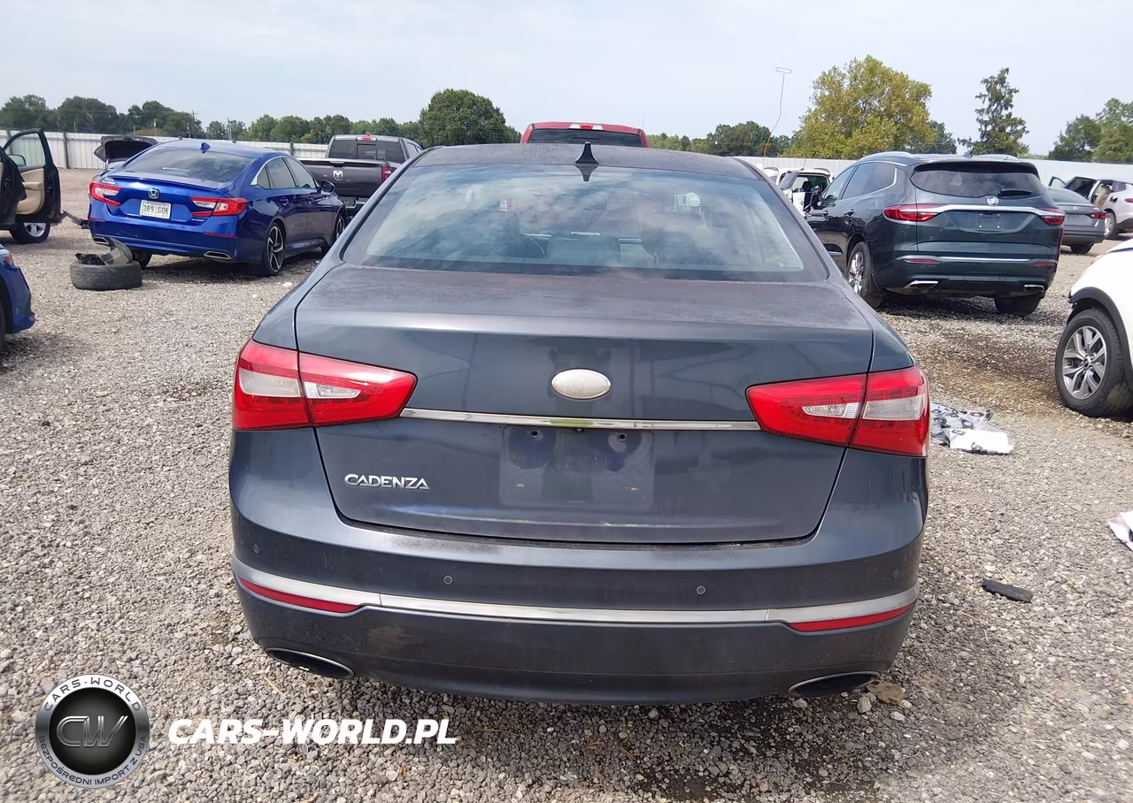 2014 Kia Cadenza Premium VIN:KNALN4D74E5120579 - 17