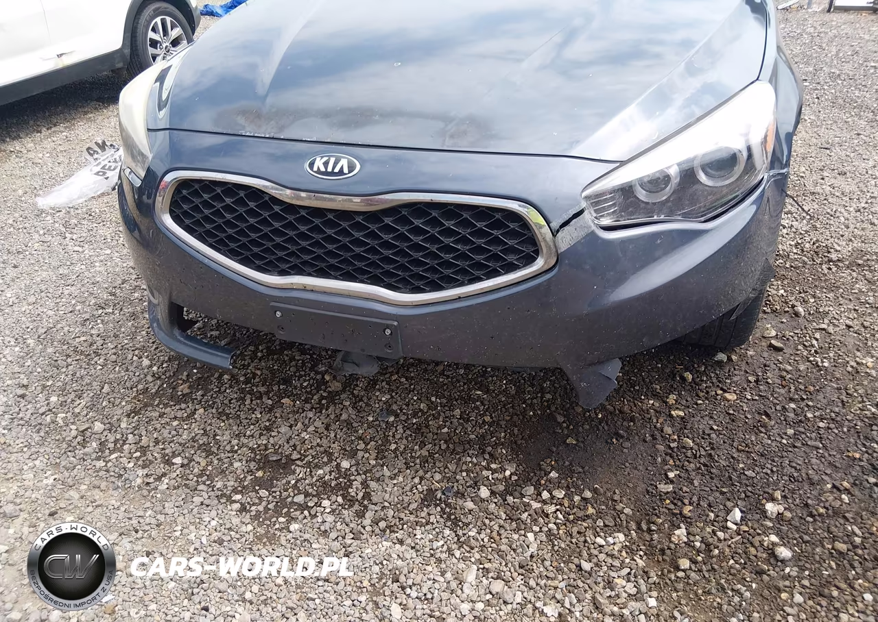 2014 Kia Cadenza Premium VIN:KNALN4D74E5120579 - 6