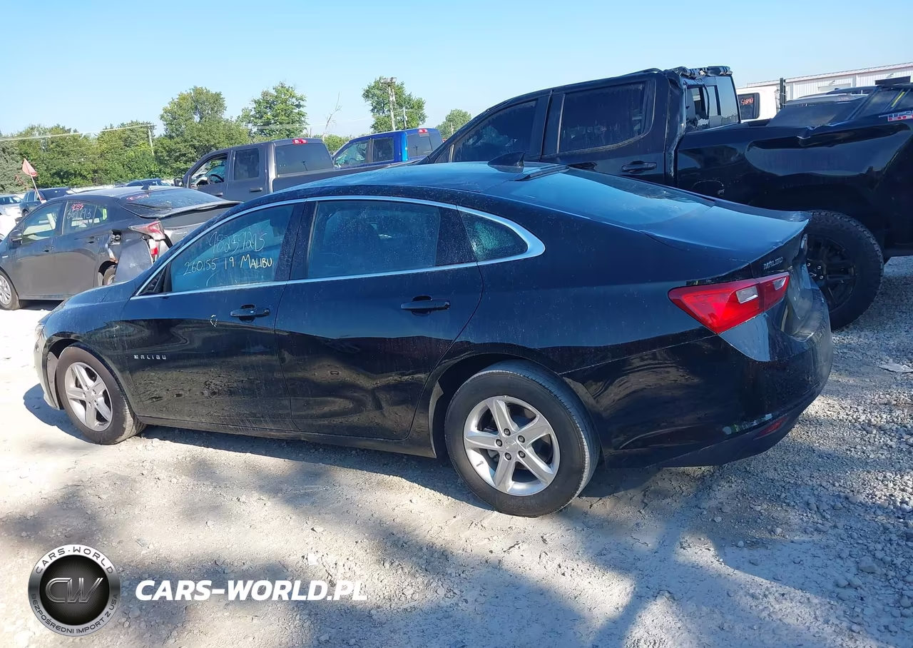 2024 Chevrolet Malibu Fwd 1Lt VIN:1G1ZD5ST1RF234716 - 14