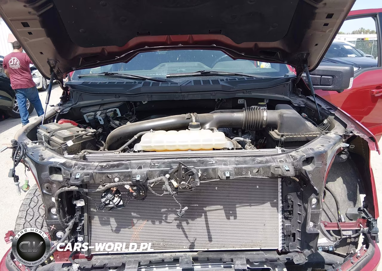 2024 Ford F-150 Xlt VIN:1FTFW3L82RKE45692 - 10