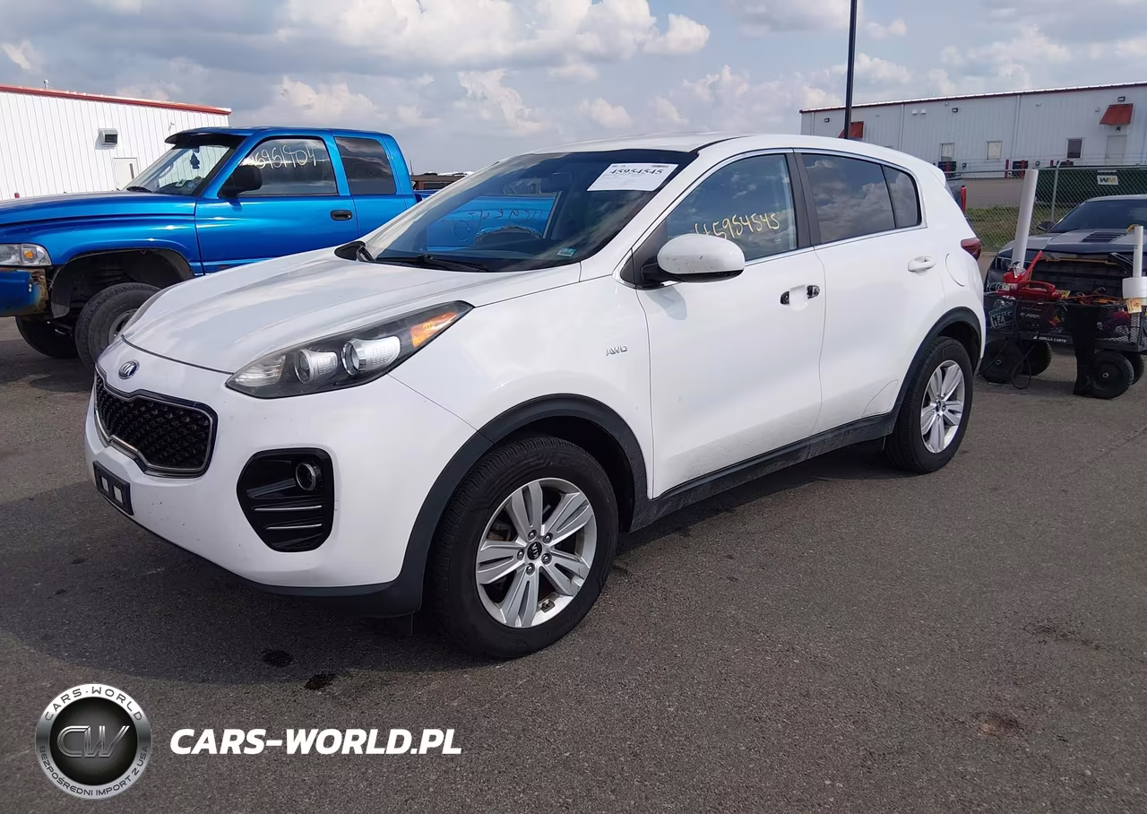 2017 Kia Sportage Lx VIN:KNDPMCAC5H7040803 - 2