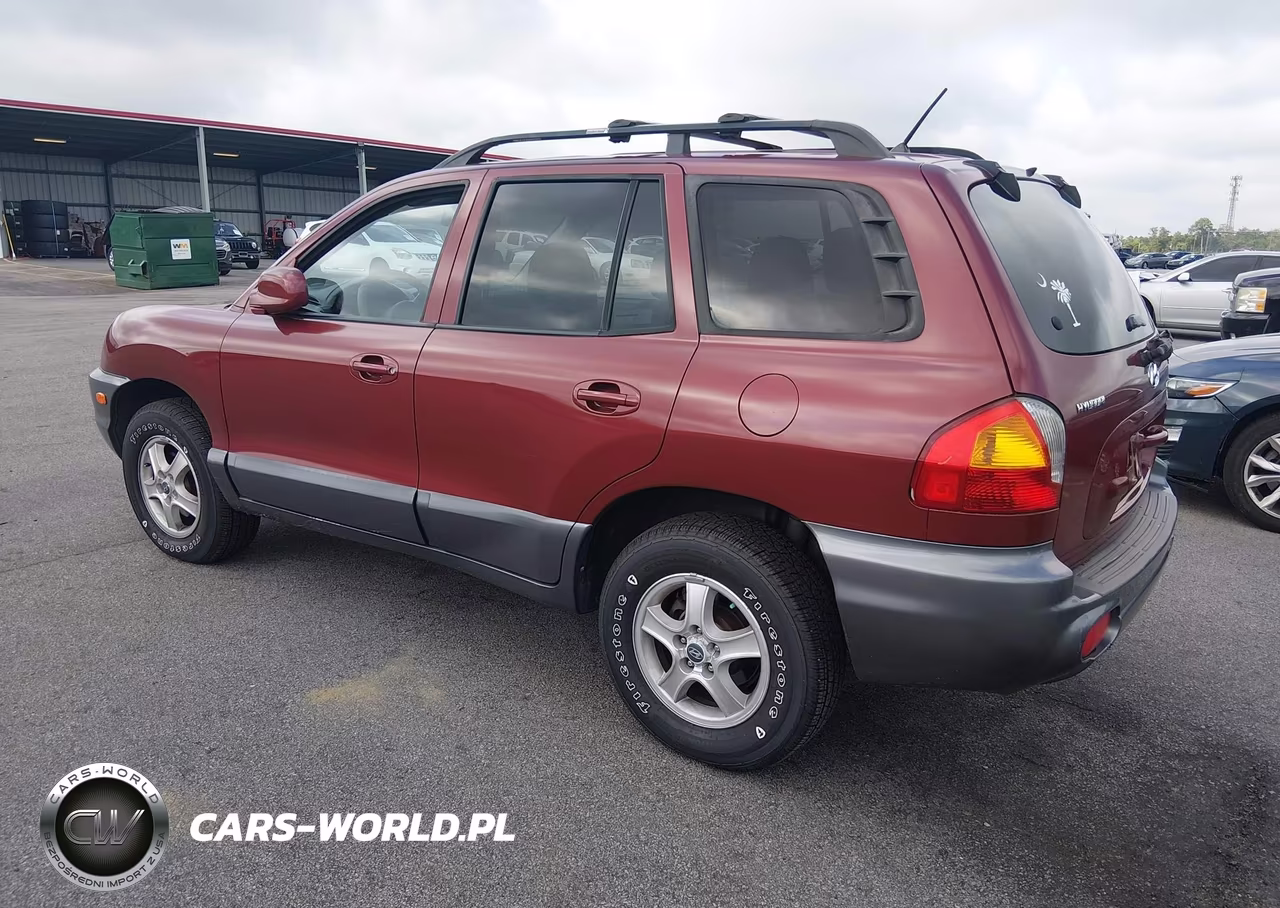2004 Hyundai Santa Fe Gls-Lx VIN:KM8SC13E54U730736 - 3