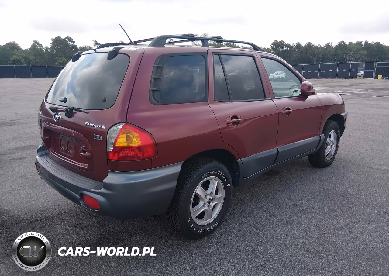2004 Hyundai Santa Fe Gls-Lx VIN:KM8SC13E54U730736 - 4