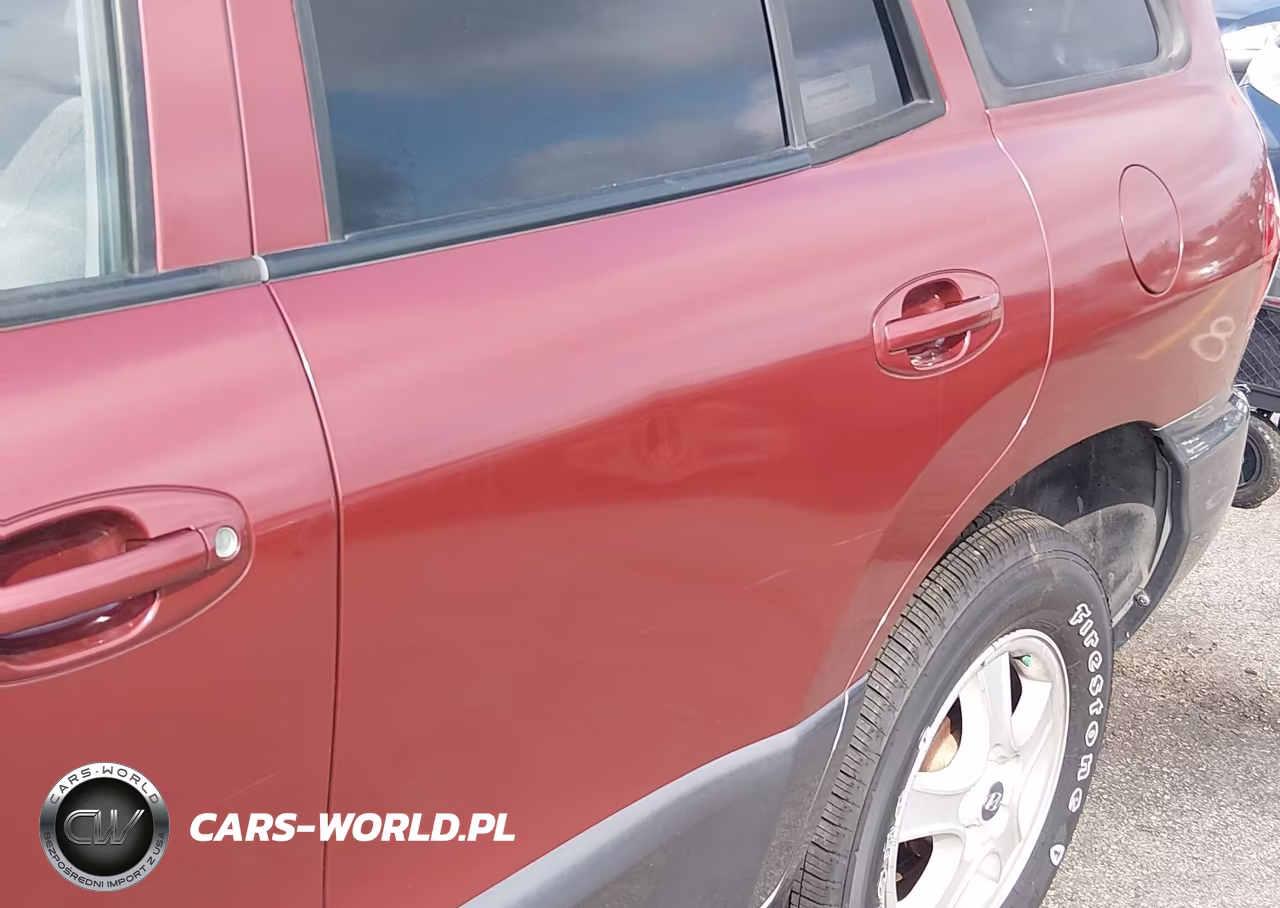 2004 Hyundai Santa Fe Gls-Lx VIN:KM8SC13E54U730736 - 6
