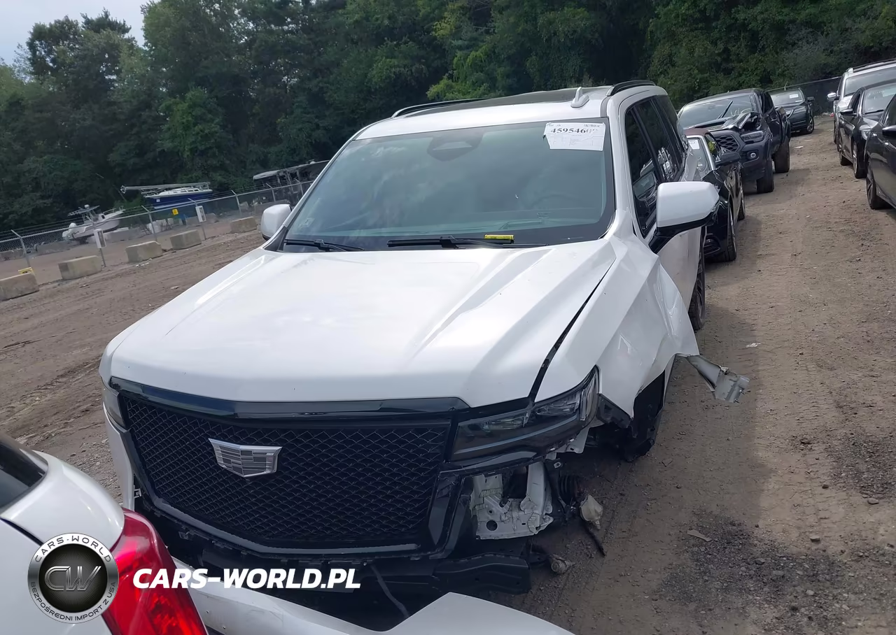 2023 Cadillac Escalade 4Wd Sport Platinum VIN:1GYS4GKL8PR561401 - 12