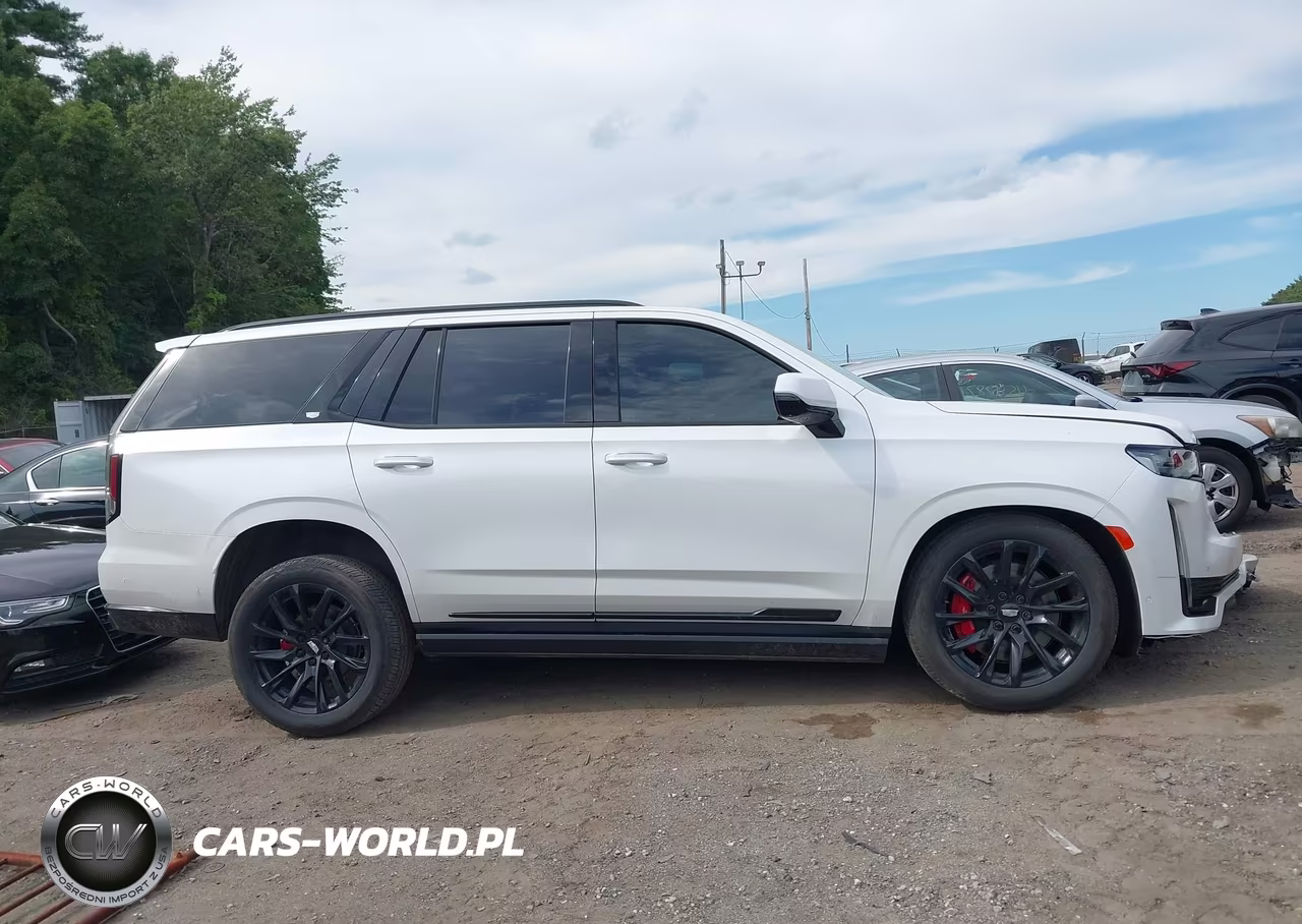 2023 Cadillac Escalade 4Wd Sport Platinum VIN:1GYS4GKL8PR561401 - 13
