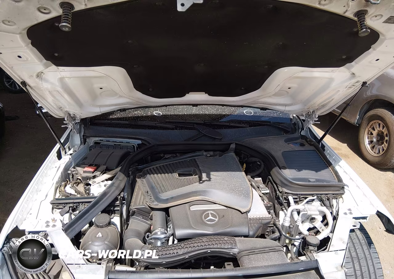 2016 Mercedes-Benz Glc 300 VIN:WDC0G4JB8GF020470 - 10