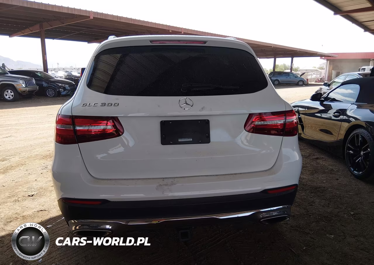2016 Mercedes-Benz Glc 300 VIN:WDC0G4JB8GF020470 - 17