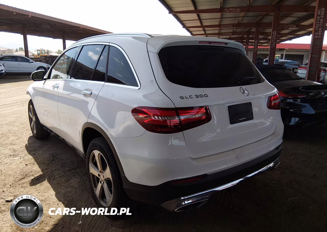2016 Mercedes-Benz Glc 300 VIN:WDC0G4JB8GF020470 - 20