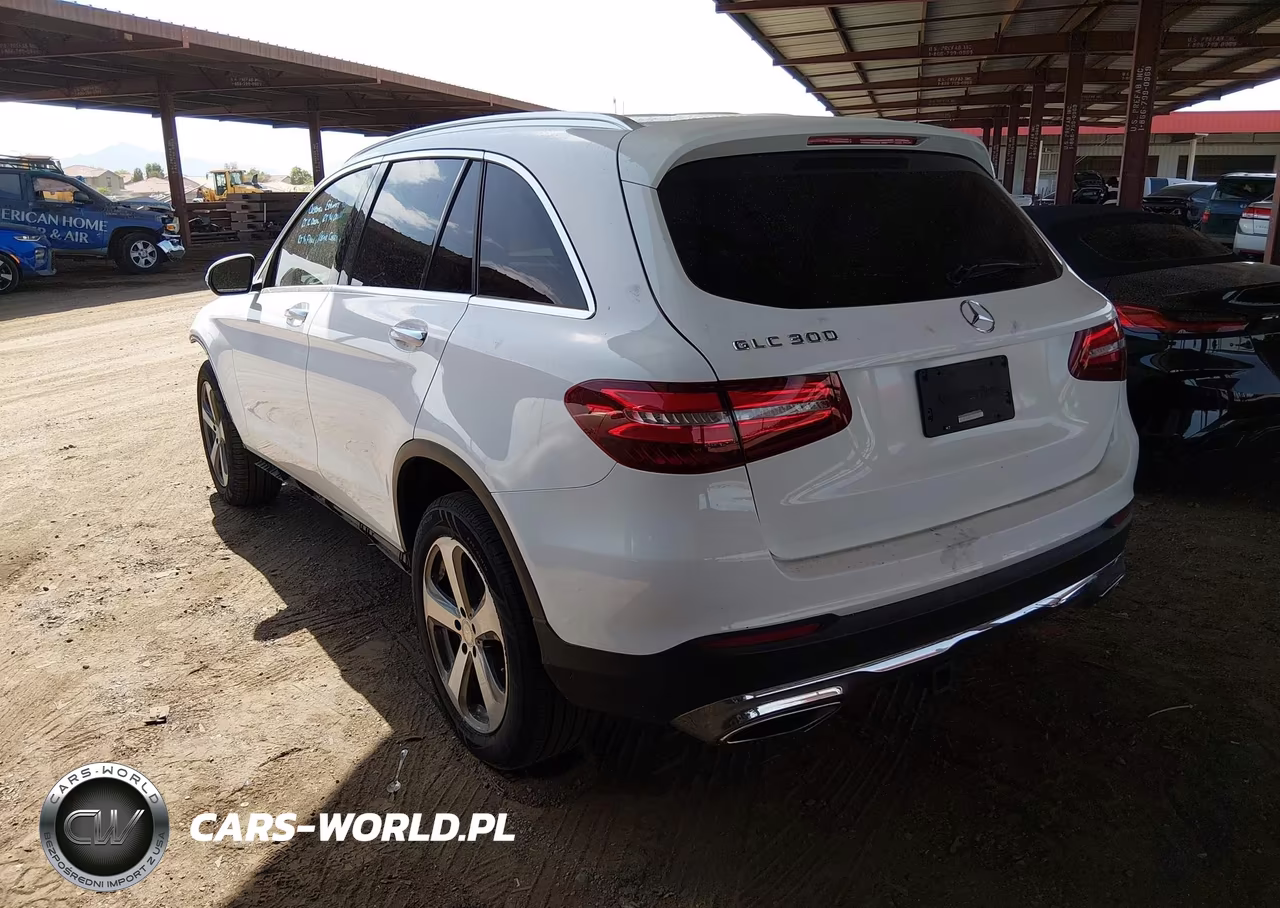 2016 Mercedes-Benz Glc 300 VIN:WDC0G4JB8GF020470 - 3