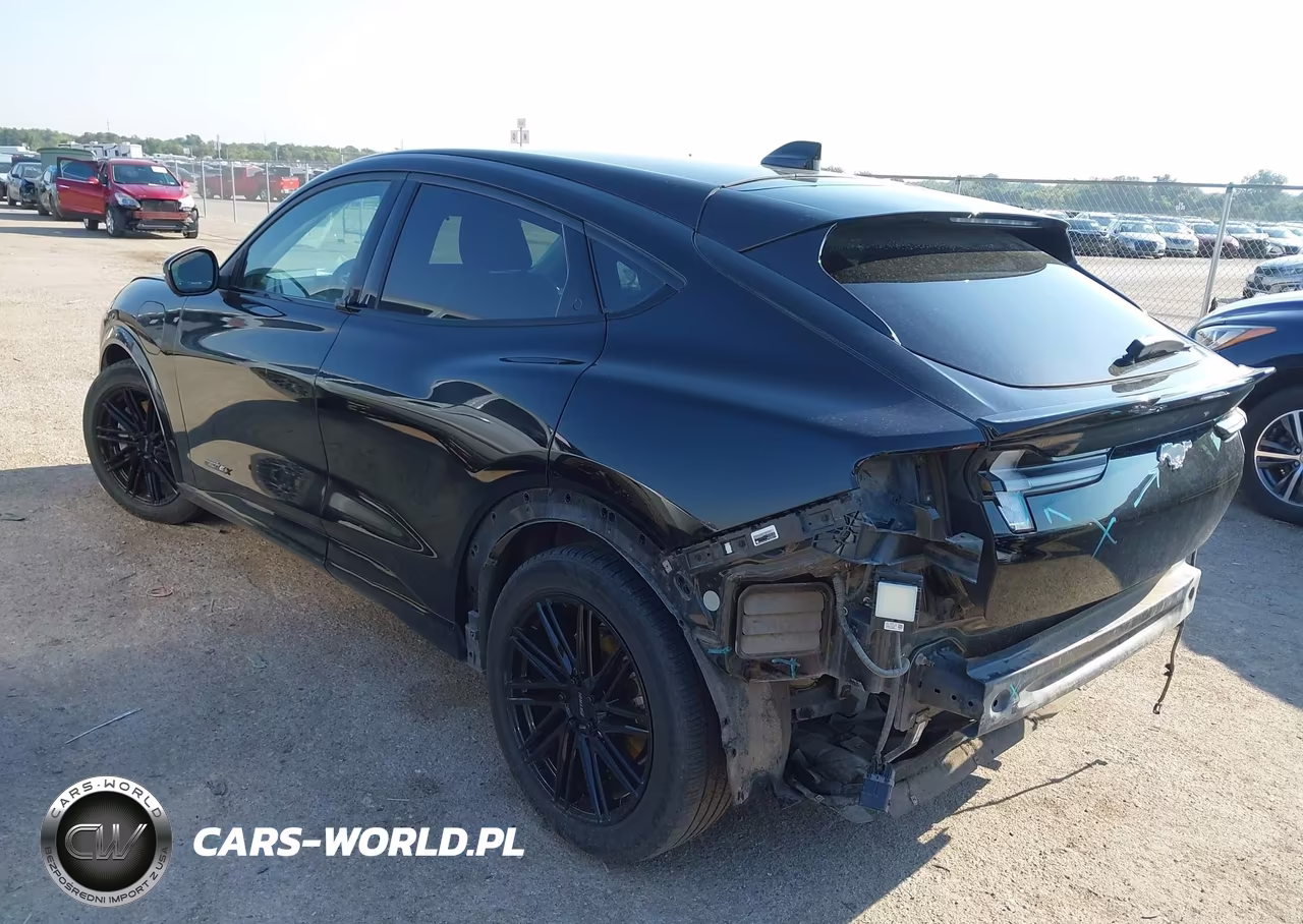 2021 Ford Mustang Mach-E Premium VIN:3FMTK3R74MMA09873 - 3