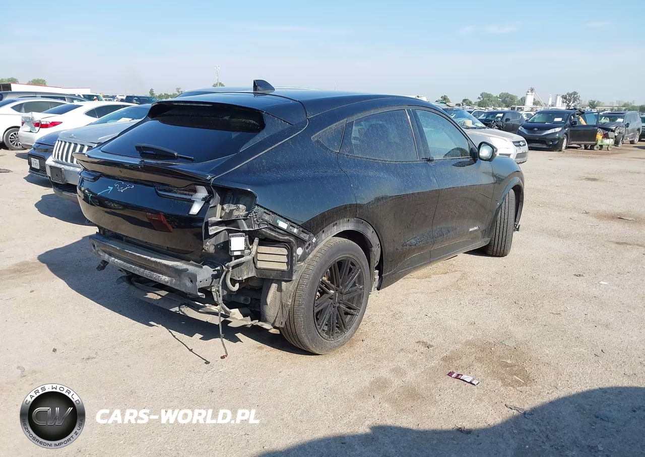 2021 Ford Mustang Mach-E Premium VIN:3FMTK3R74MMA09873 - 4