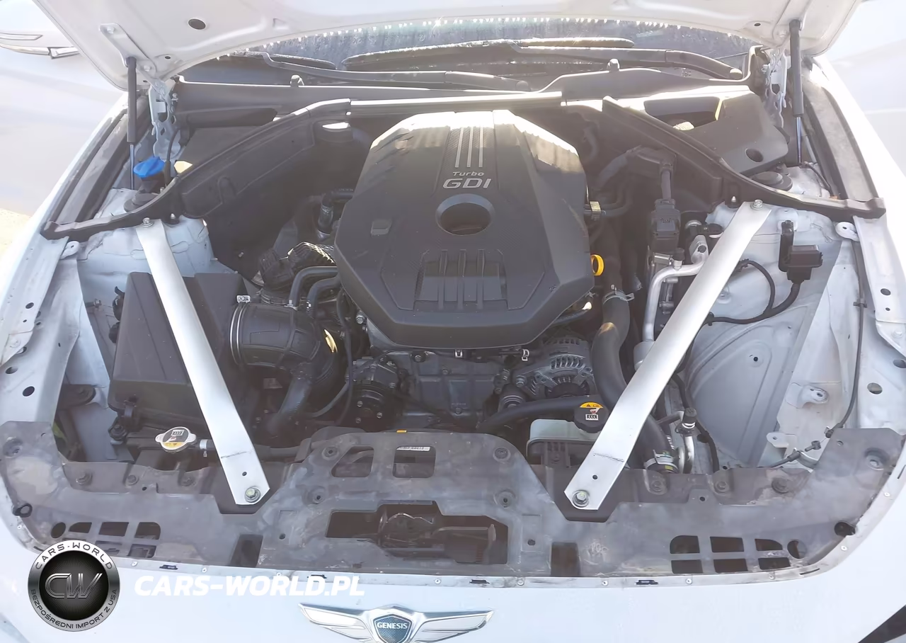 2019 Genesis G70 Elite VIN:KMTG34LA1KU035368 - 10