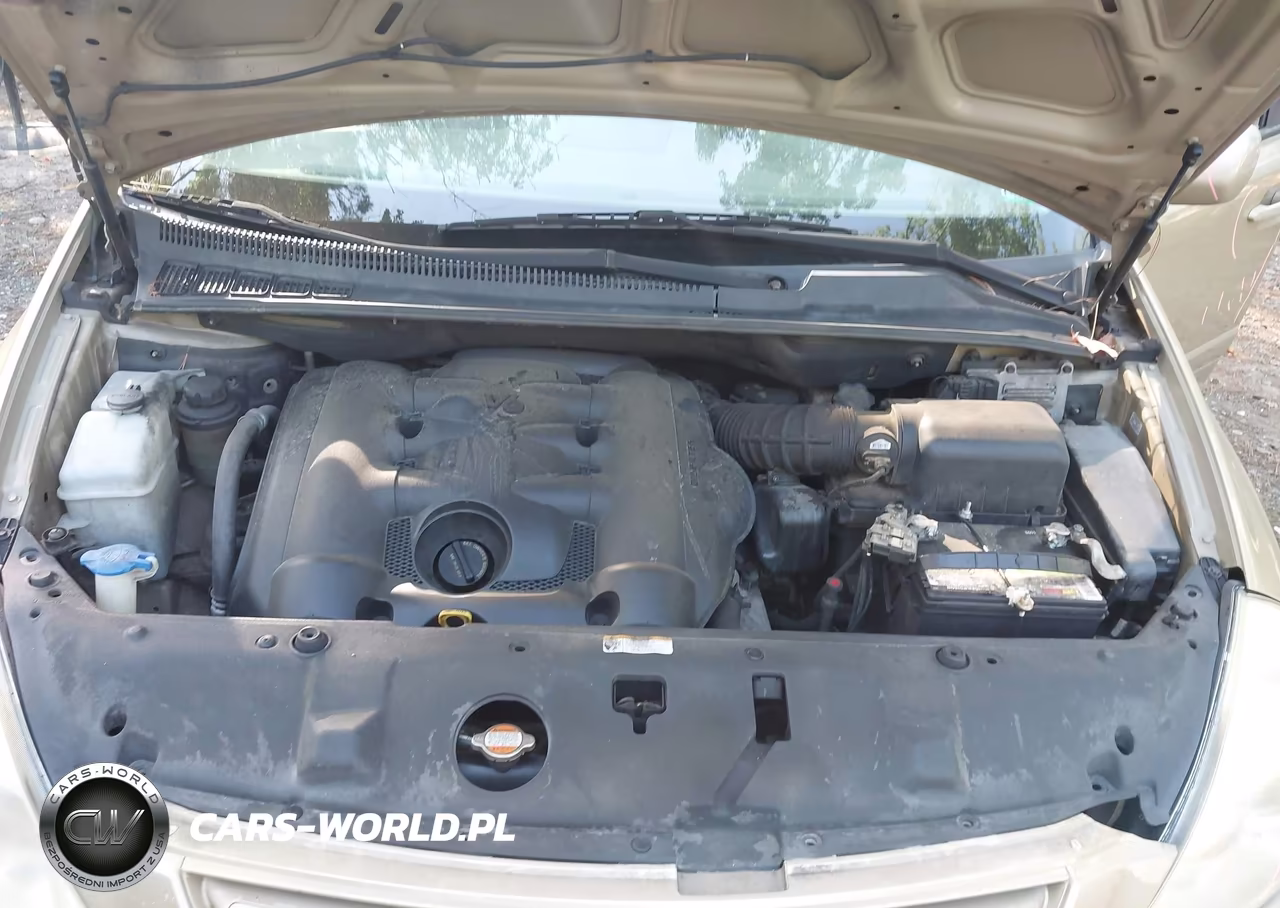 2009 Kia Sedona Lx VIN:KNDMB233796307964 - 10