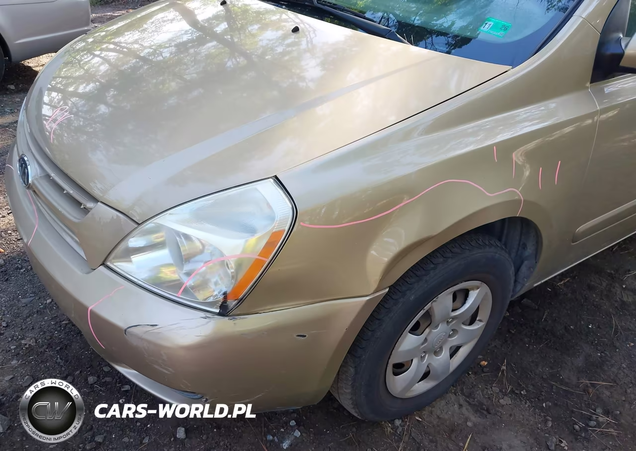 2009 Kia Sedona Lx VIN:KNDMB233796307964 - 13